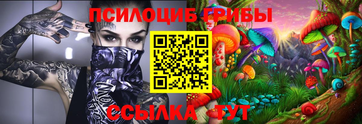 Псилоцибиновые грибы ЛСД Кинель