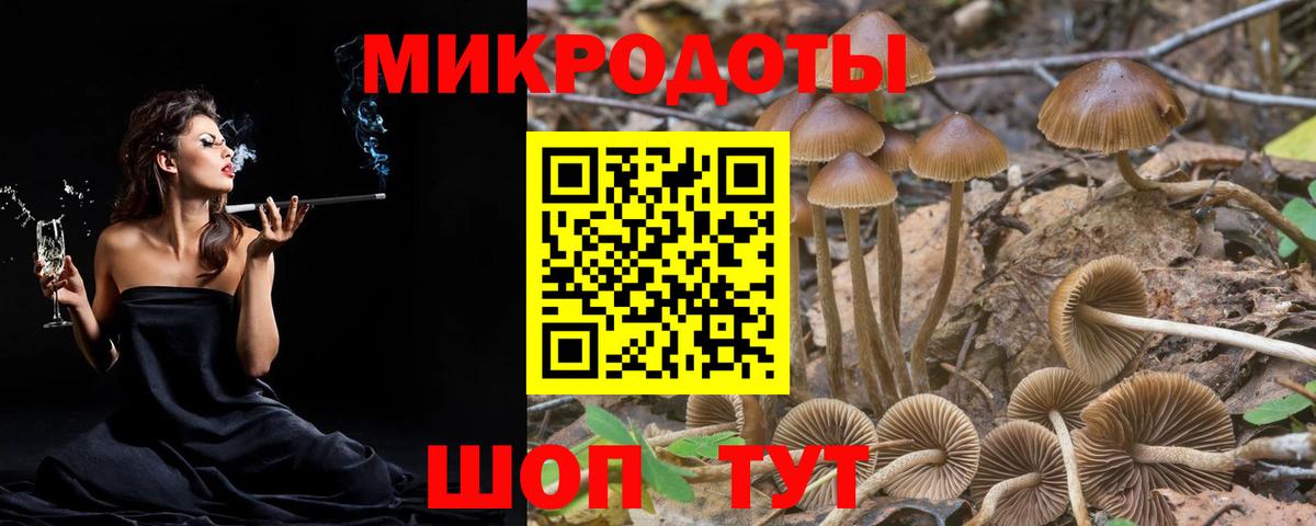 Кинель  Псилоцибиновые грибы ЛСД  закладка  Вход с VPN 